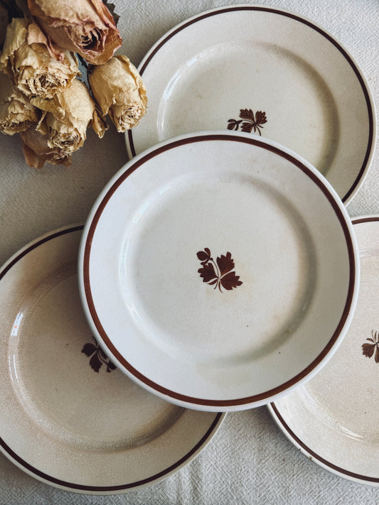 Set of 4 ironstone tea leaf plates